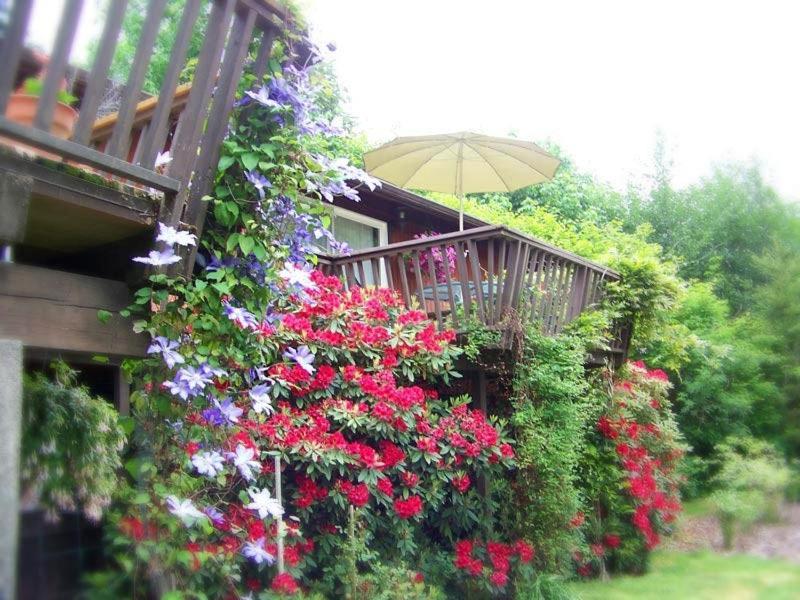 Bed and breakfast Misty Valley 3*